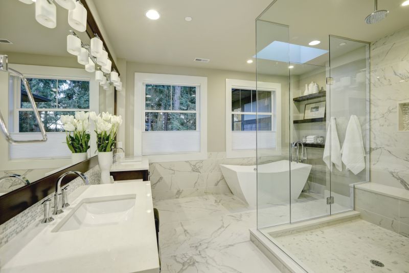 Contemporary Shower and Tub Combo